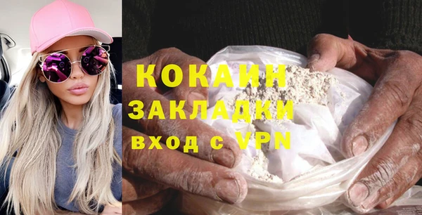 твердый Алексин