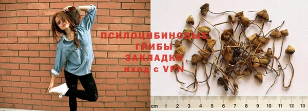 герыч Ладушкин